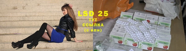 PSILOCYBIN Кулебаки