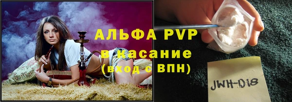 PSILOCYBIN Кулебаки
