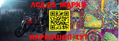 прущие грибы Апшеронск