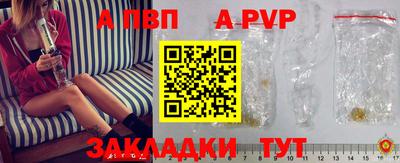 твердый Кингисепп