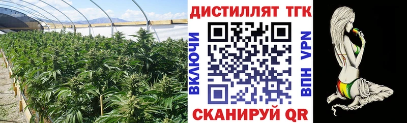 OMG   Чернушка  Дистиллят ТГК вейп  продажа наркотиков 