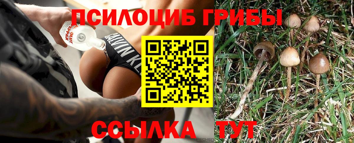 Галлюциногенные грибы GOLDEN TEACHER  Чернушка 