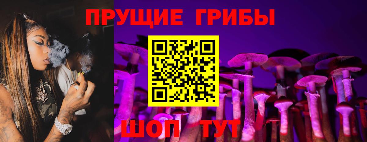 Галлюциногенные грибы ЛСД Чернушка